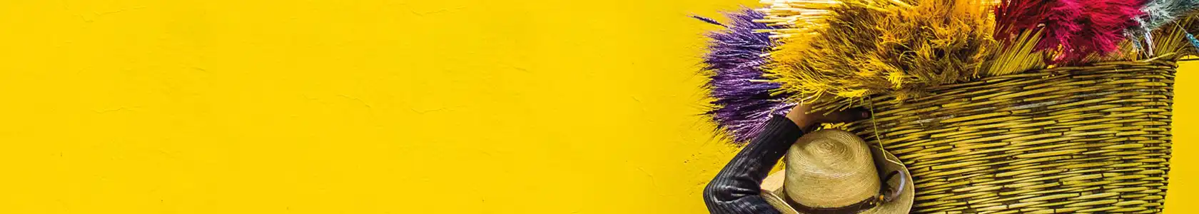 donate banner